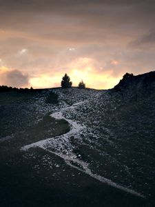 Preview wallpaper trail, slope, bushes, twilight, nature