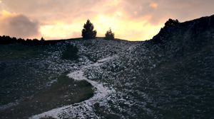 Preview wallpaper trail, slope, bushes, twilight, nature