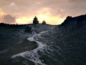 Preview wallpaper trail, slope, bushes, twilight, nature
