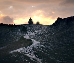 Preview wallpaper trail, slope, bushes, twilight, nature