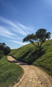 Preview wallpaper trail, slope, tree, grass, nature