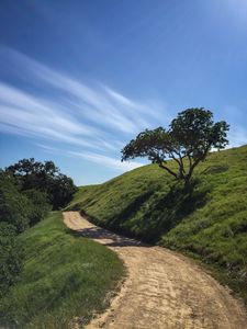 Preview wallpaper trail, slope, tree, grass, nature