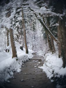 Preview wallpaper trail, snow, forest, trees, winter, landscape