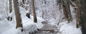 Preview wallpaper trail, snow, forest, trees, winter, landscape
