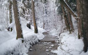 Preview wallpaper trail, snow, forest, trees, winter, landscape