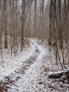 Preview wallpaper trail, snow, trees, forest, winter