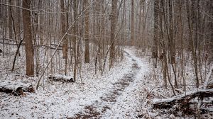 Preview wallpaper trail, snow, trees, forest, winter