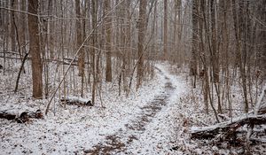 Preview wallpaper trail, snow, trees, forest, winter