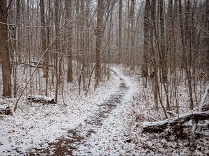 Preview wallpaper trail, snow, trees, forest, winter