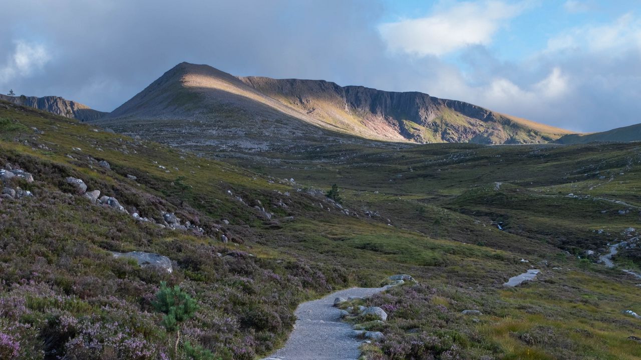 Wallpaper trail, stones, valley, mountain