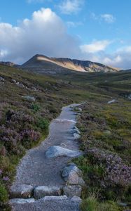 Preview wallpaper trail, stones, valley, mountain