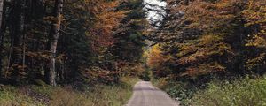 Preview wallpaper trail, trees, branches, grass, nature