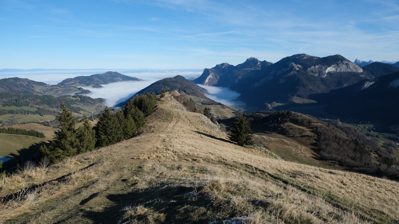 Wallpaper trail, trees, clouds, fog, mountains