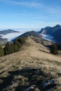 Preview wallpaper trail, trees, clouds, fog, mountains