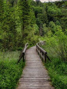 Preview wallpaper trail, trees, forest, landscape, nature