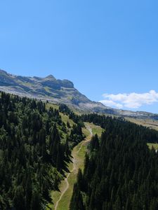 Preview wallpaper trail, trees, mountain, slope