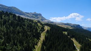 Preview wallpaper trail, trees, mountain, slope