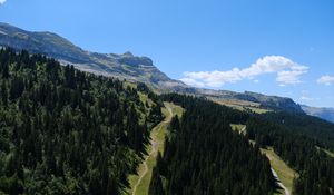Preview wallpaper trail, trees, mountain, slope