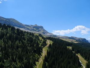 Preview wallpaper trail, trees, mountain, slope