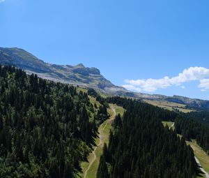 Preview wallpaper trail, trees, mountain, slope