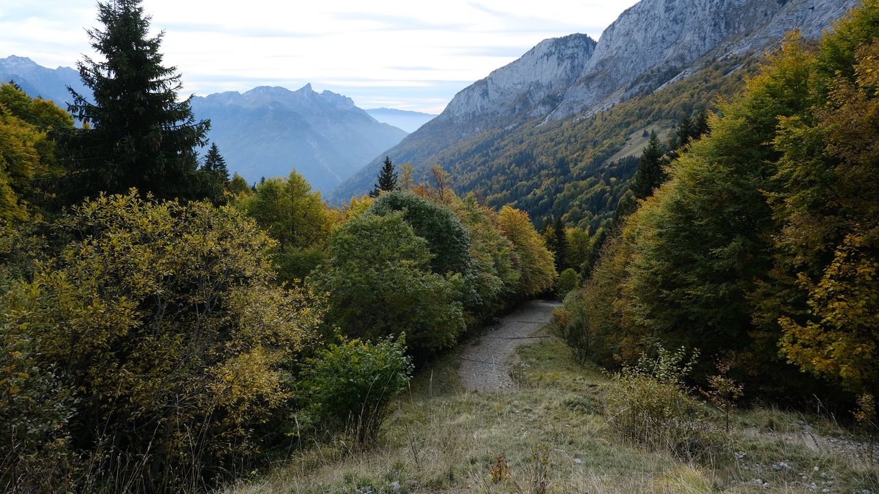 Wallpaper trail, trees, mountains, nature