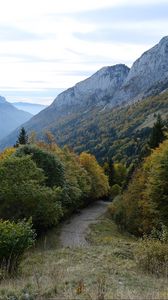 Preview wallpaper trail, trees, mountains, nature