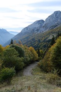Preview wallpaper trail, trees, mountains, nature