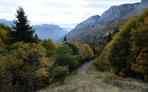 Preview wallpaper trail, trees, mountains, nature