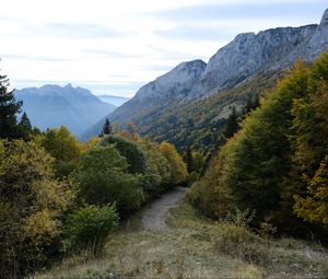 Preview wallpaper trail, trees, mountains, nature