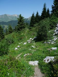 Preview wallpaper trail, trees, mountains, grass