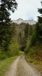 Preview wallpaper trail, trees, mountains, nature, landscape