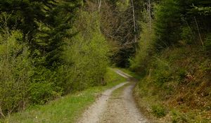 Preview wallpaper trail, trees, mountains, nature, landscape