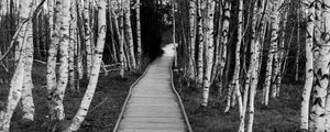 Preview wallpaper trail, trees, nature, black and white
