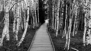 Preview wallpaper trail, trees, nature, black and white