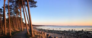 Preview wallpaper trail, trees, shore, stones, sea