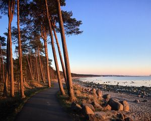 Preview wallpaper trail, trees, shore, stones, sea