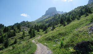 Preview wallpaper trail, trees, slope, mountains