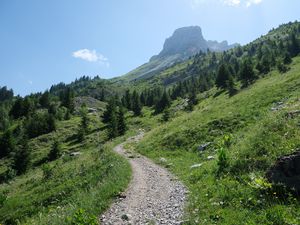 Preview wallpaper trail, trees, slope, mountains