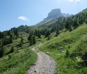 Preview wallpaper trail, trees, slope, mountains