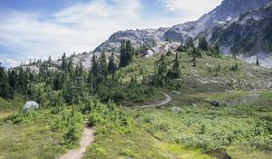 Preview wallpaper trail, trees, slope, mountain