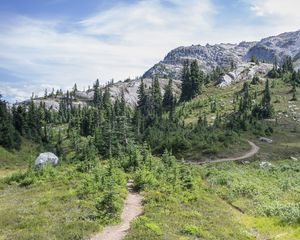 Preview wallpaper trail, trees, slope, mountain