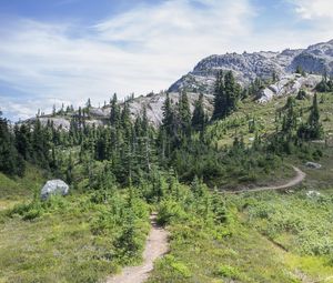 Preview wallpaper trail, trees, slope, mountain