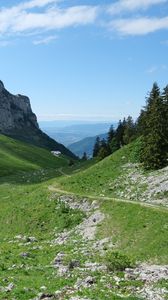 Preview wallpaper trail, valley, slope, trees, rock