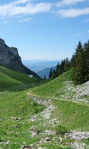 Preview wallpaper trail, valley, slope, trees, rock