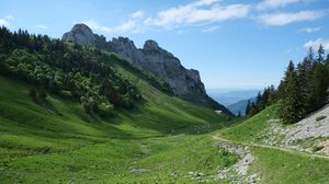 Preview wallpaper trail, valley, slope, trees, rock