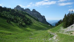 Preview wallpaper trail, valley, slope, trees, rock