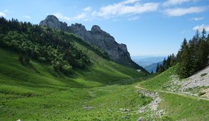 Preview wallpaper trail, valley, slope, trees, rock