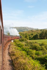 Preview wallpaper train, nature, railroad