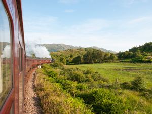 Preview wallpaper train, nature, railroad