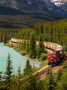 Preview wallpaper train, railway, forest, lake, travel